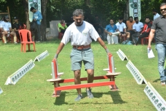 strongman-bhopal-18-305